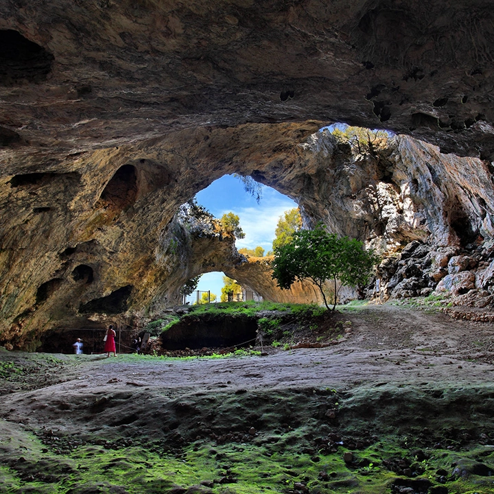 tzvelaluka2 2000x1333 1 tzvelaluka2 2000x1333 1