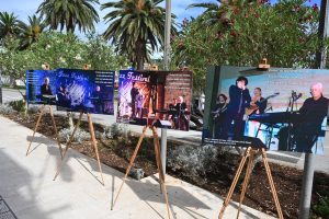 515438278 750266834422255 5146979581888938354 n