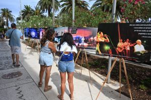 524253553 750267001088905 8855480772321414837 n