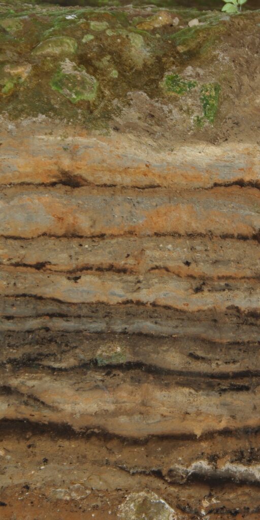 Stratigrafija 2