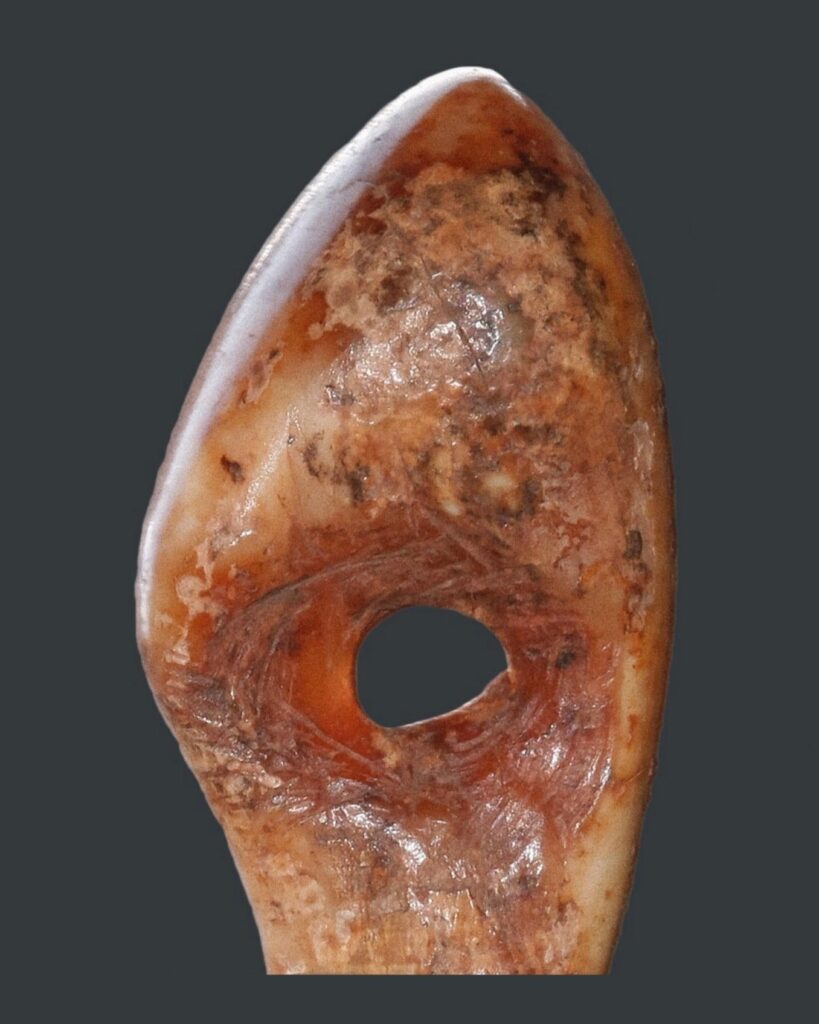 Ukras zub